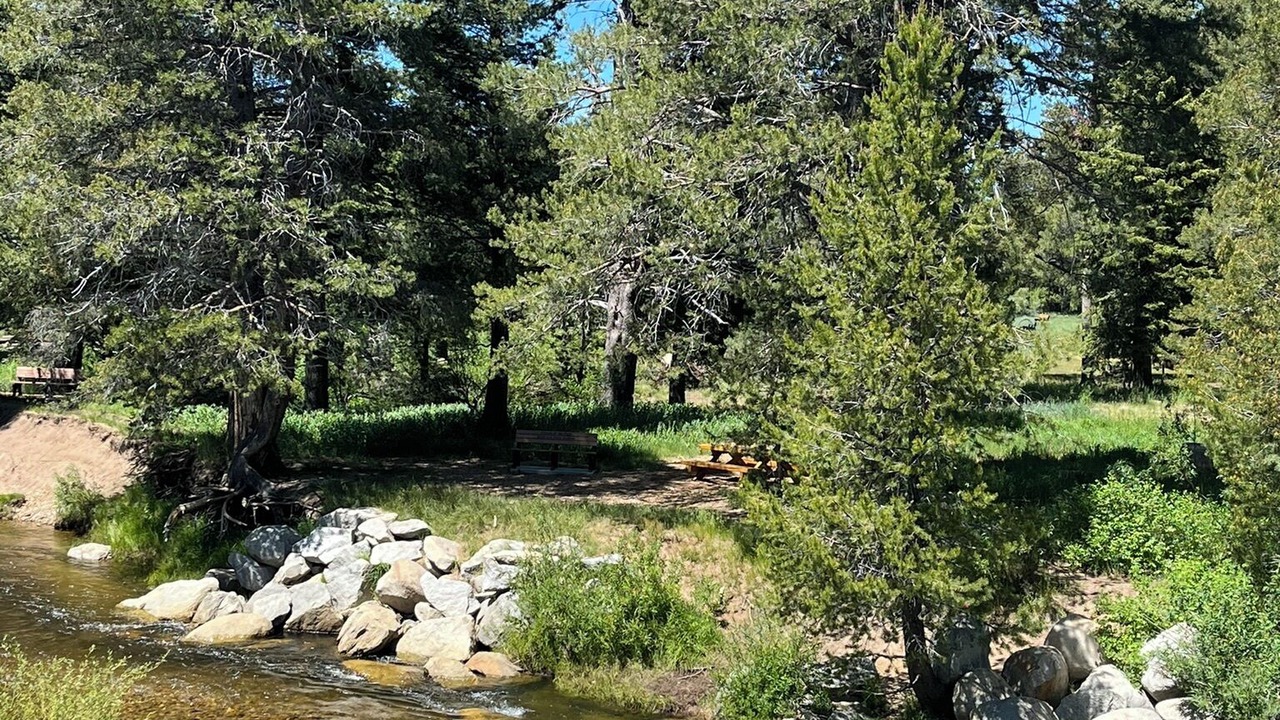 Photo of Others in North Upper Truckee