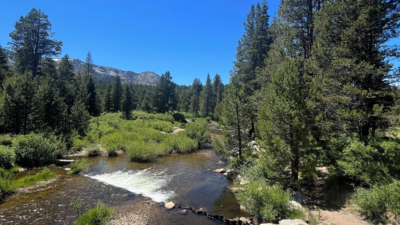 Photo of Outdoor in North Upper Truckee
