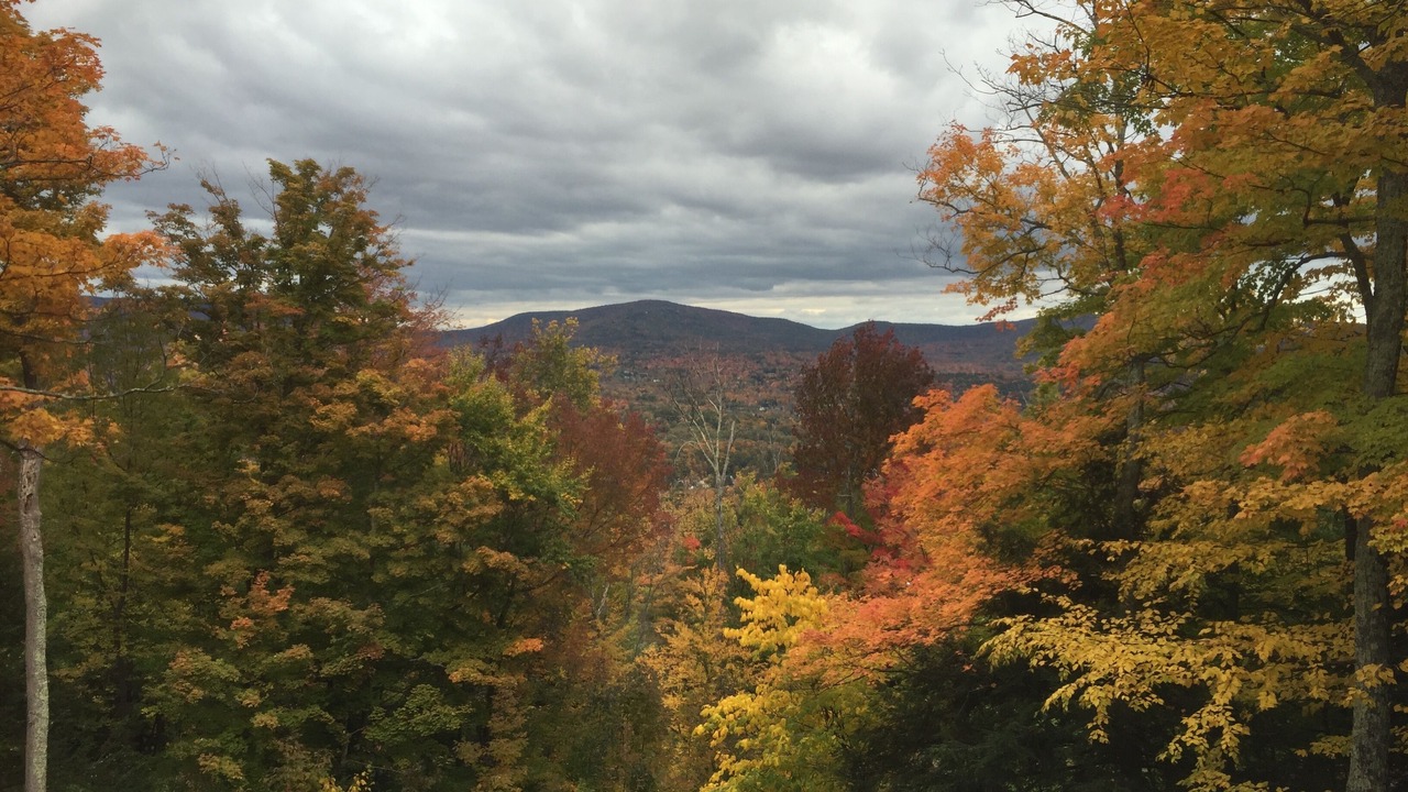 Photo of Others in Windham