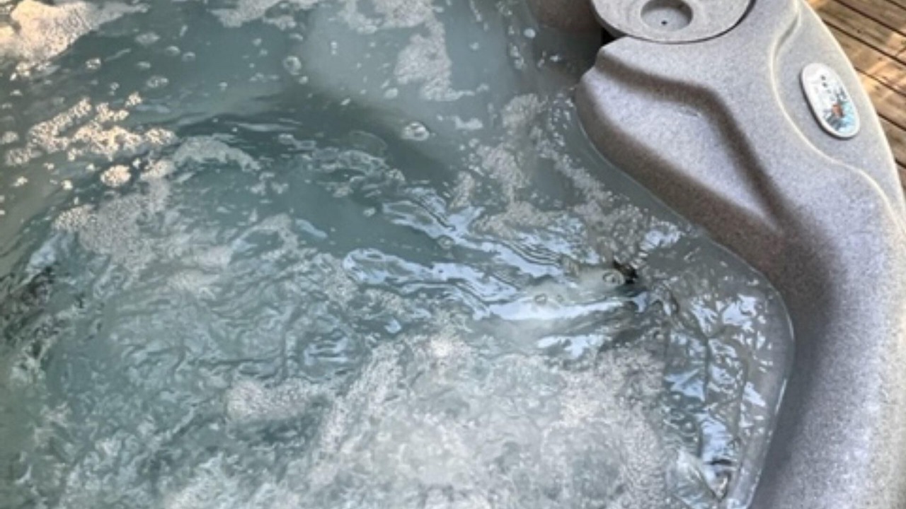 Photo of Outdoor in Keslers Cross Lanes