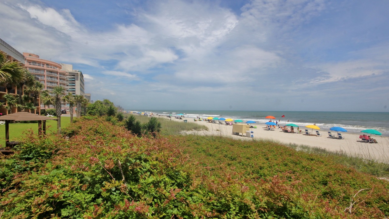 Photo of Others in Myrtle Beach
