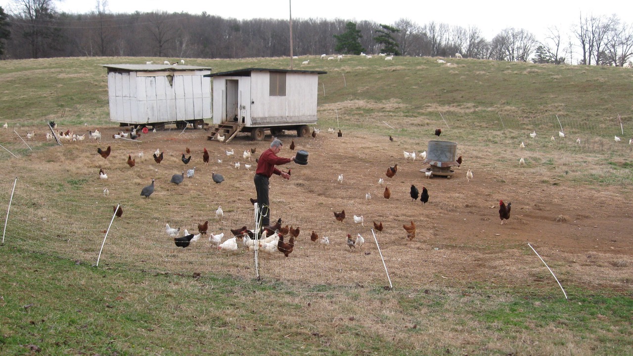 Photo of Others in Batesville