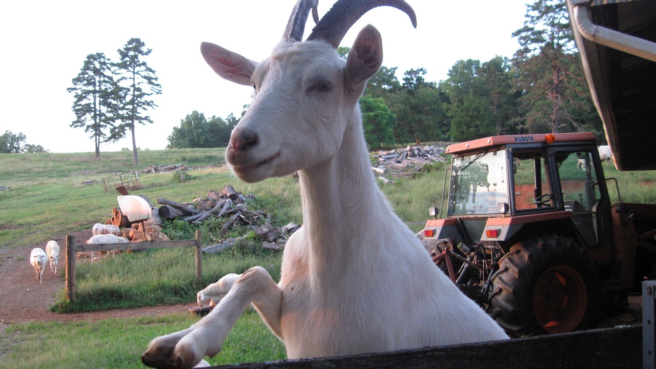 Photo of Others in Batesville