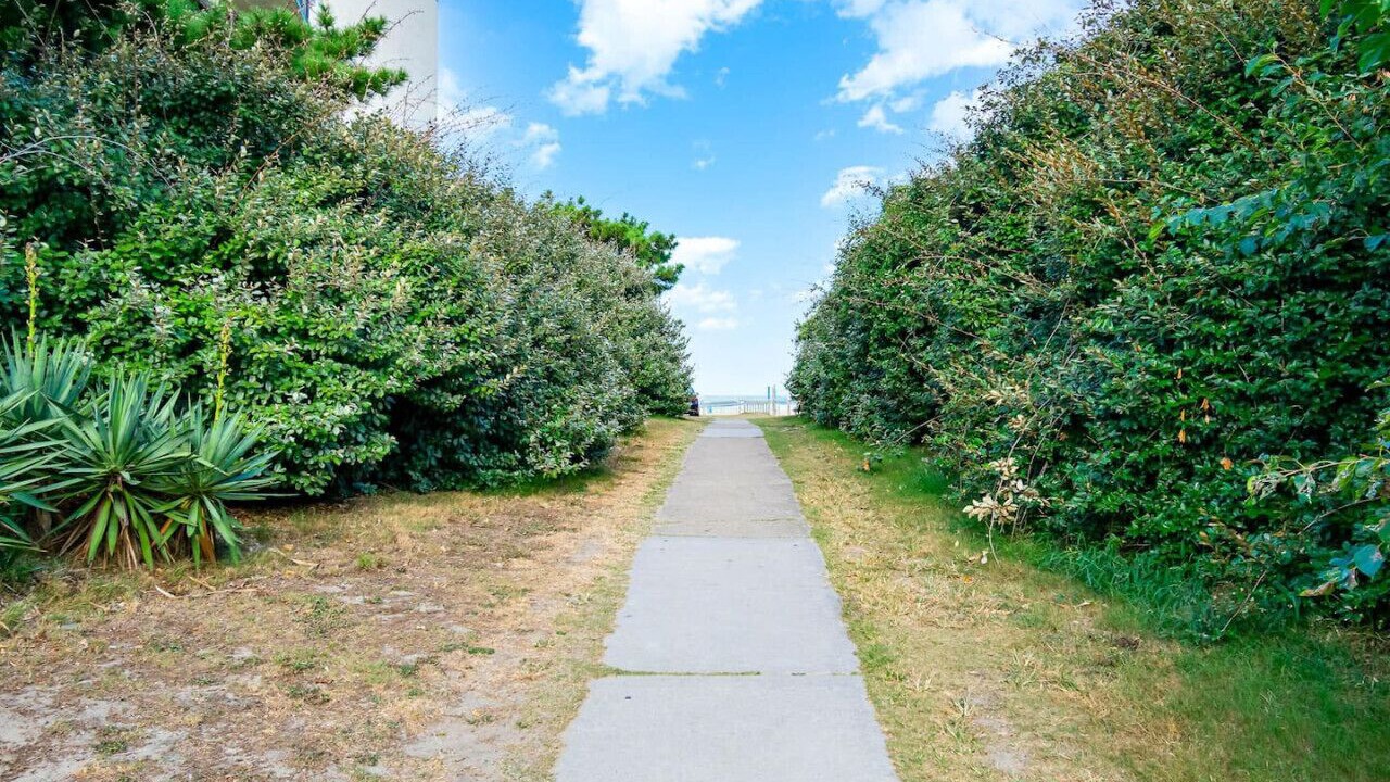 Photo of Others in Northeast Virginia Beach