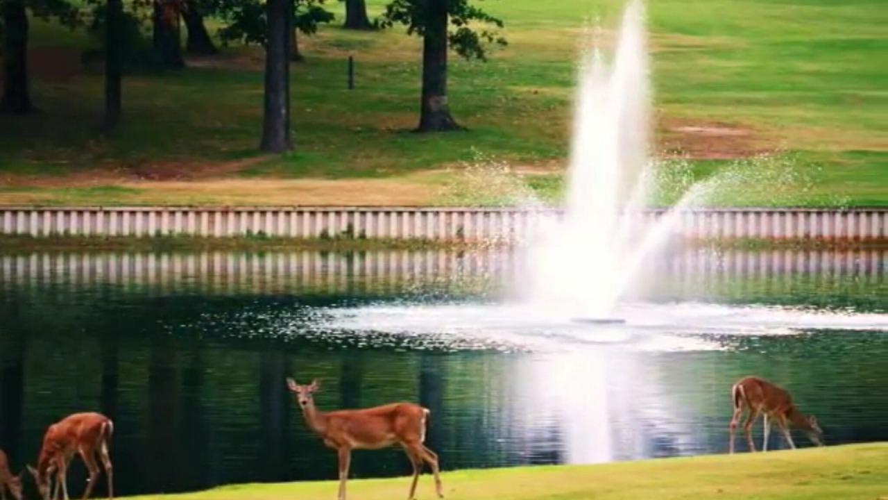 Photo of Outdoor in Holly Lake Ranch