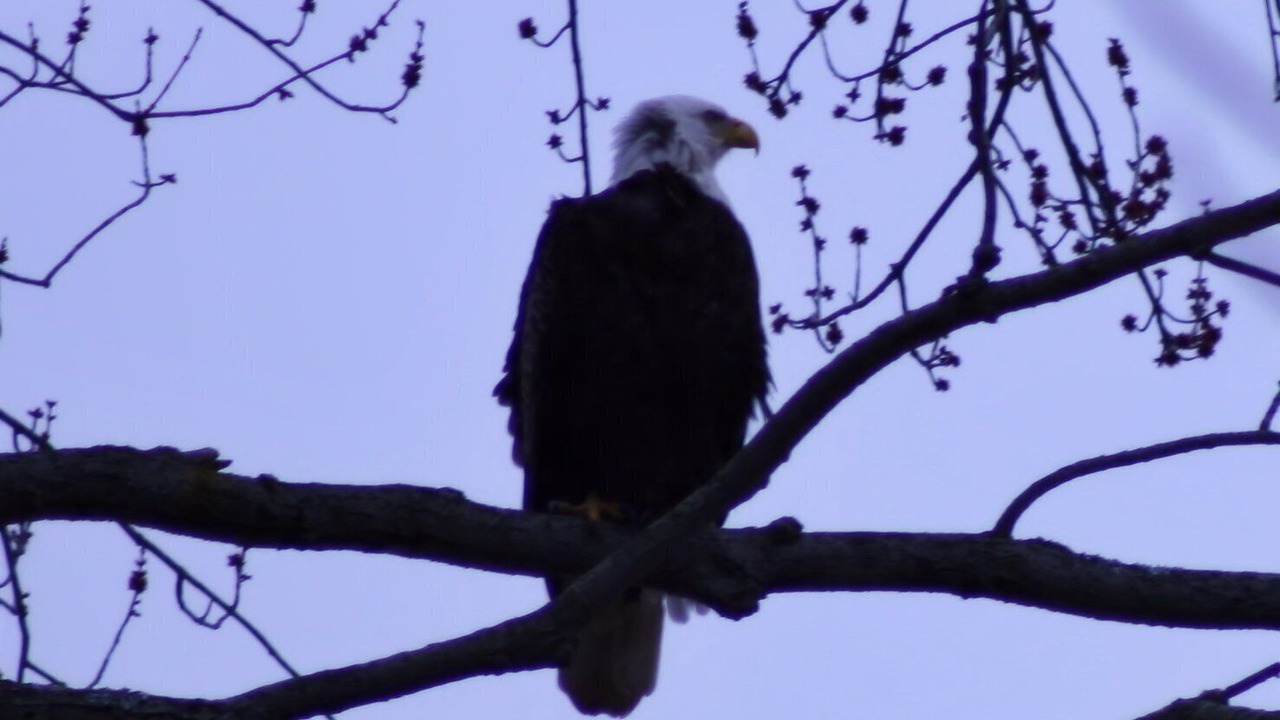 Photo of Outdoor in Logansport