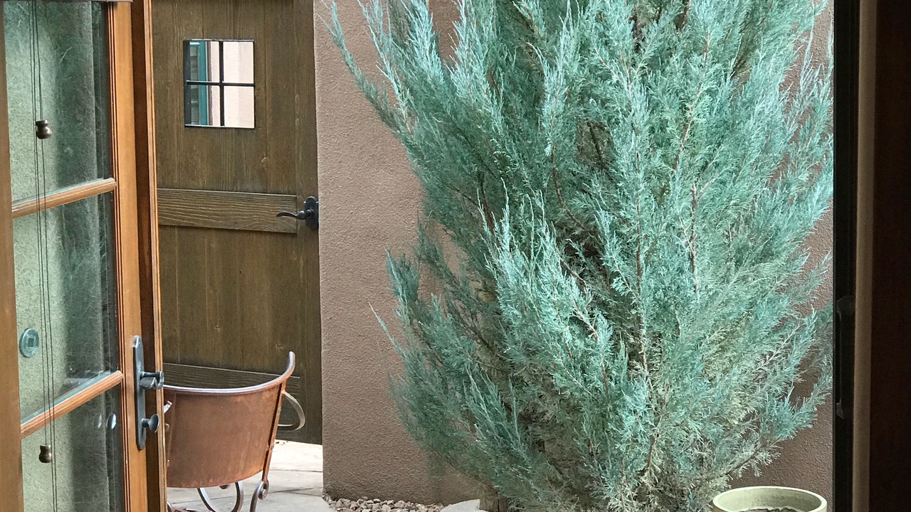 Photo of Others in Downtown Santa Fe