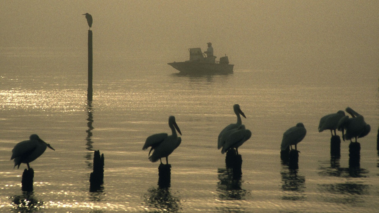Photo of Others in El Lago