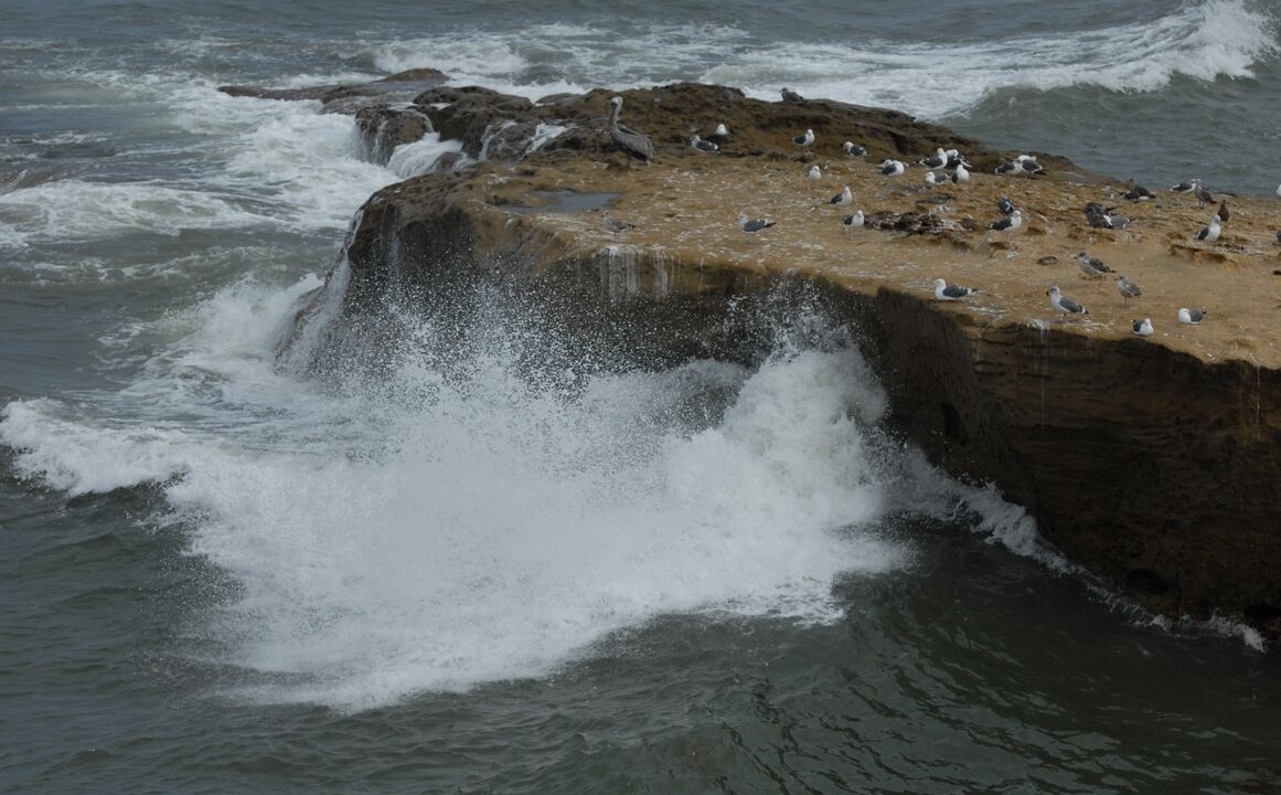 Photo of Others in Point Loma