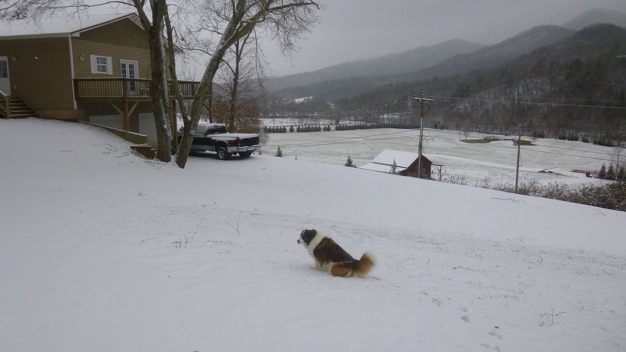 Photo of Others in Hayesville