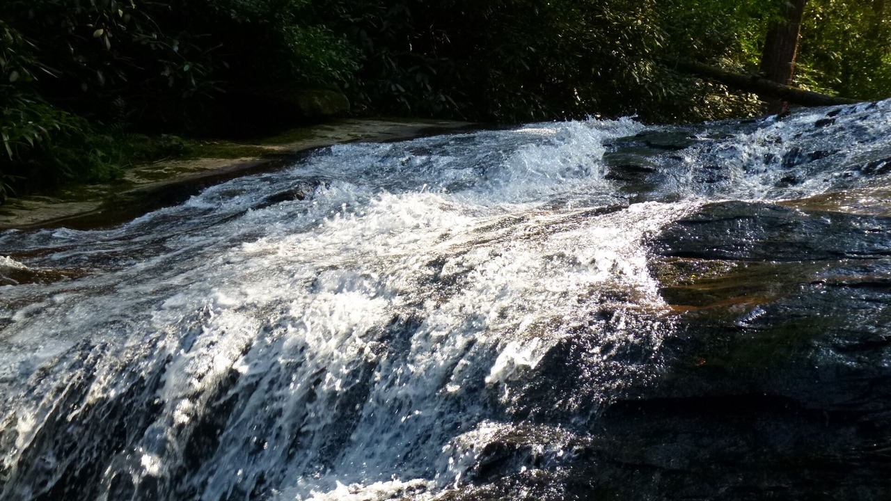Photo of Others in Hayesville