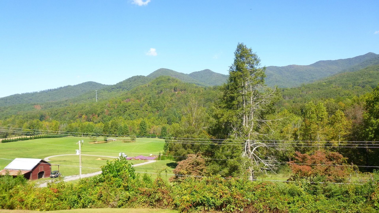 Photo of Others in Hayesville