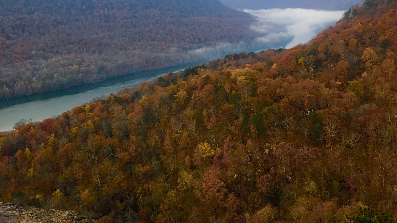 Photo of Others in Chattanooga