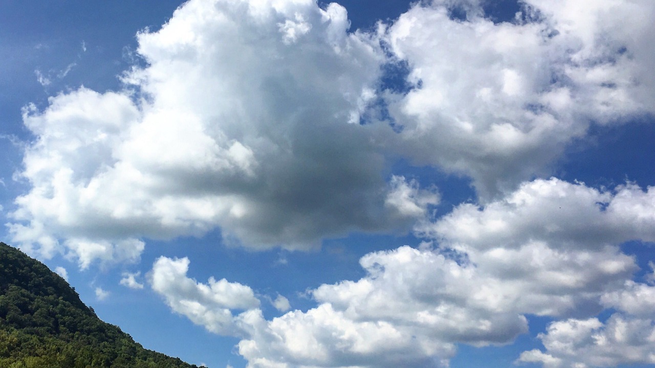 Photo of Others in Chattanooga