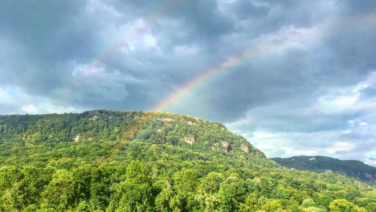 Photo of Others in Chattanooga