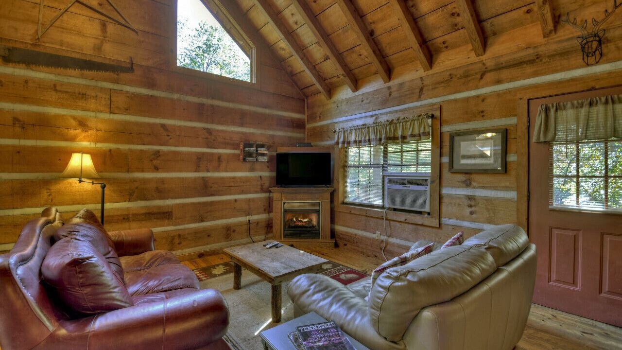 Photo of Livingroom in Copperhill