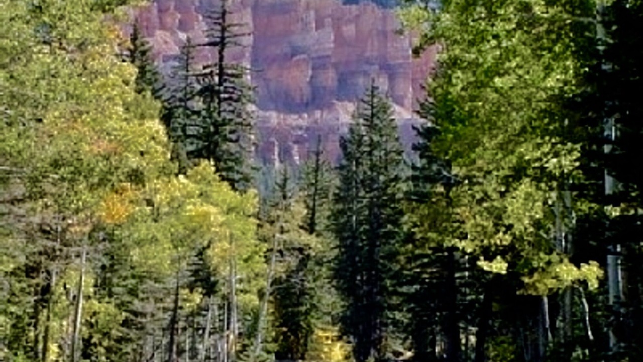 Photo of Others in Duck Creek Village