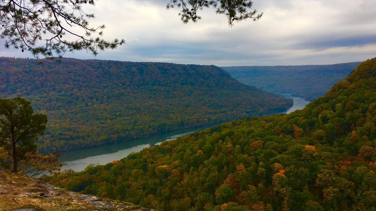 Photo of Others in Chattanooga