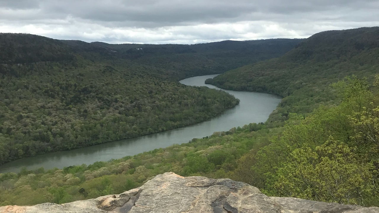 Photo of Others in Chattanooga