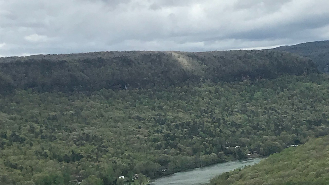 Photo of Others in Chattanooga