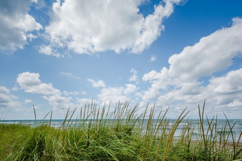 Photo of Outdoor in Lakeside