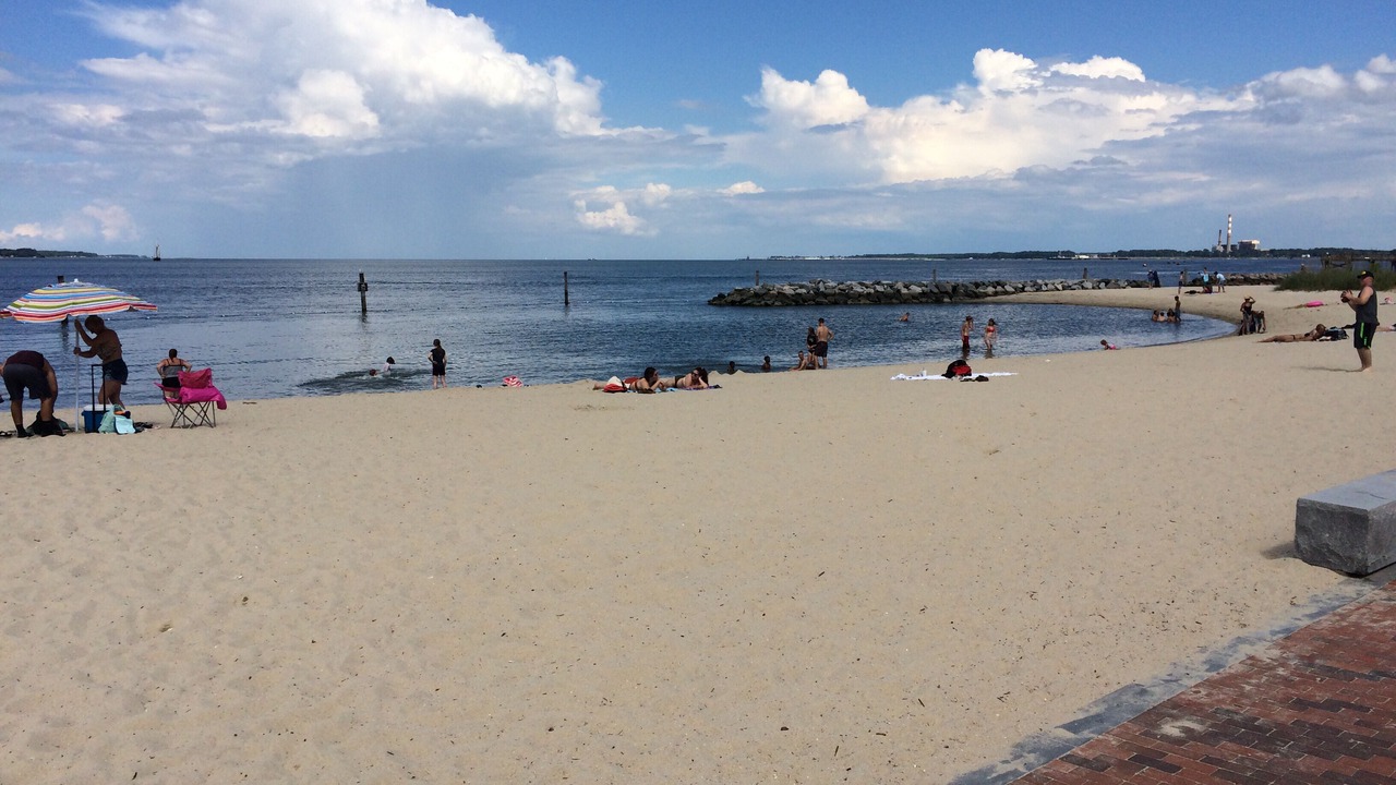 Photo of Others in Yorktown