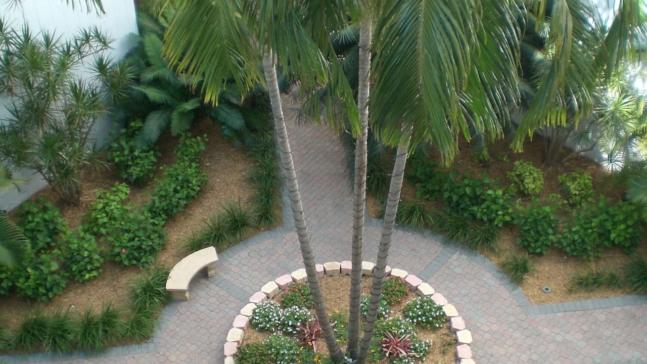 Photo of Others in Rock Harbor