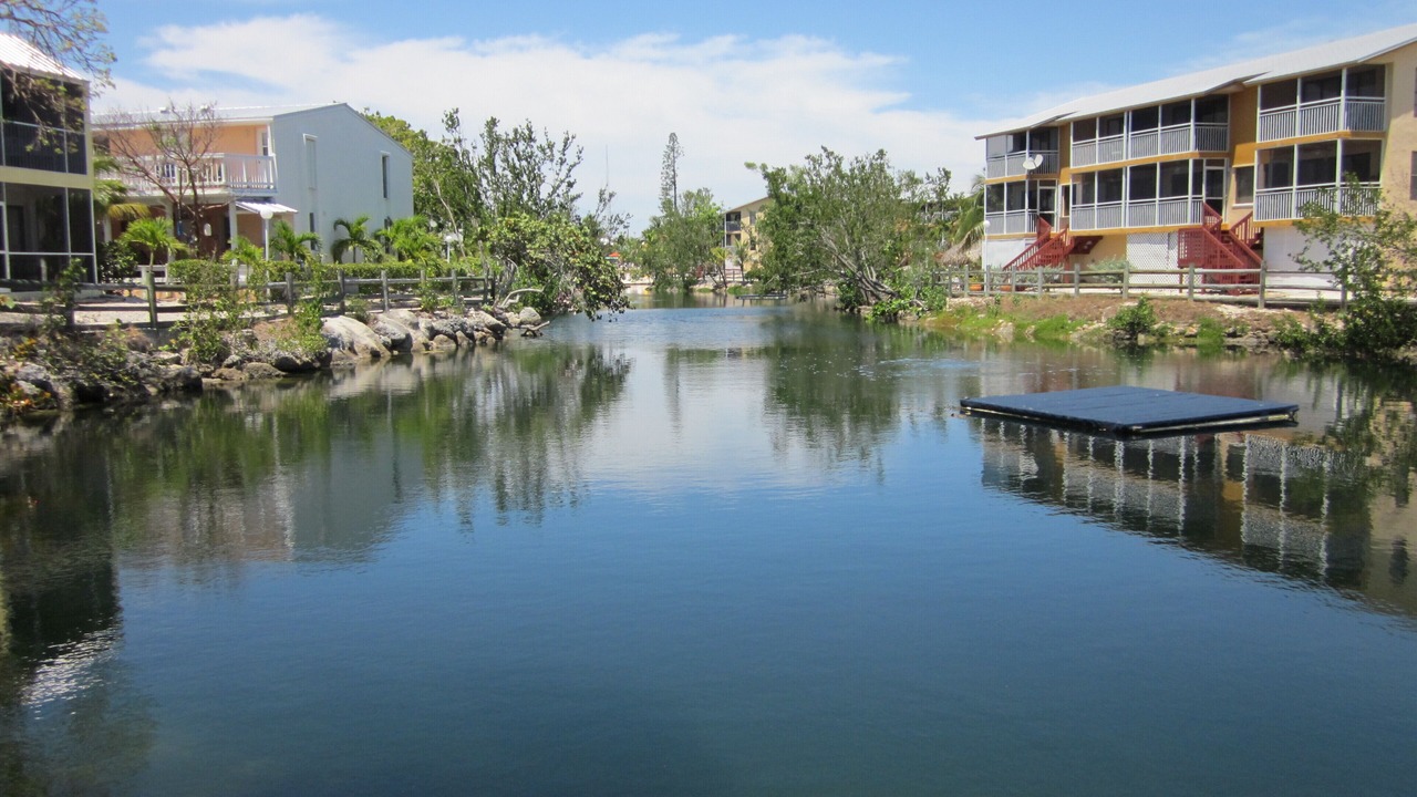 Photo of Others in Rock Harbor