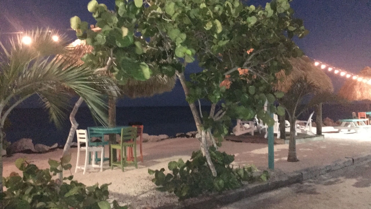 Photo of Others in Rock Harbor