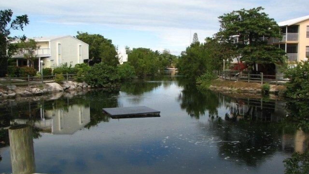 Photo of Others in Rock Harbor