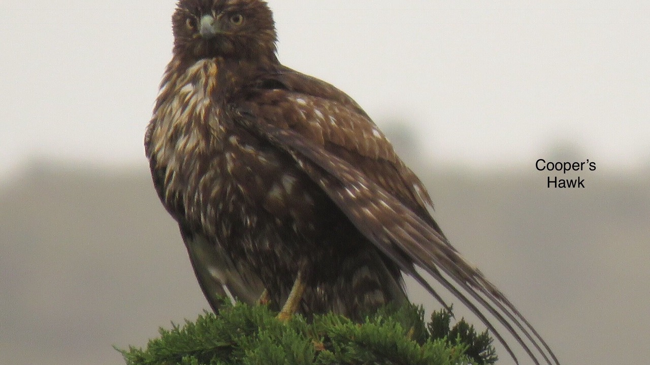Photo of Others in Salmon Creek
