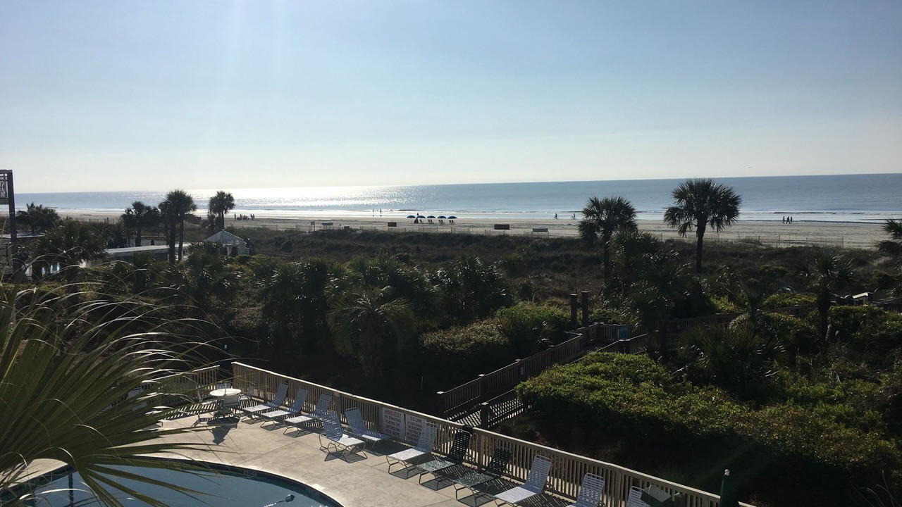 Photo of Others in North Forest Beach