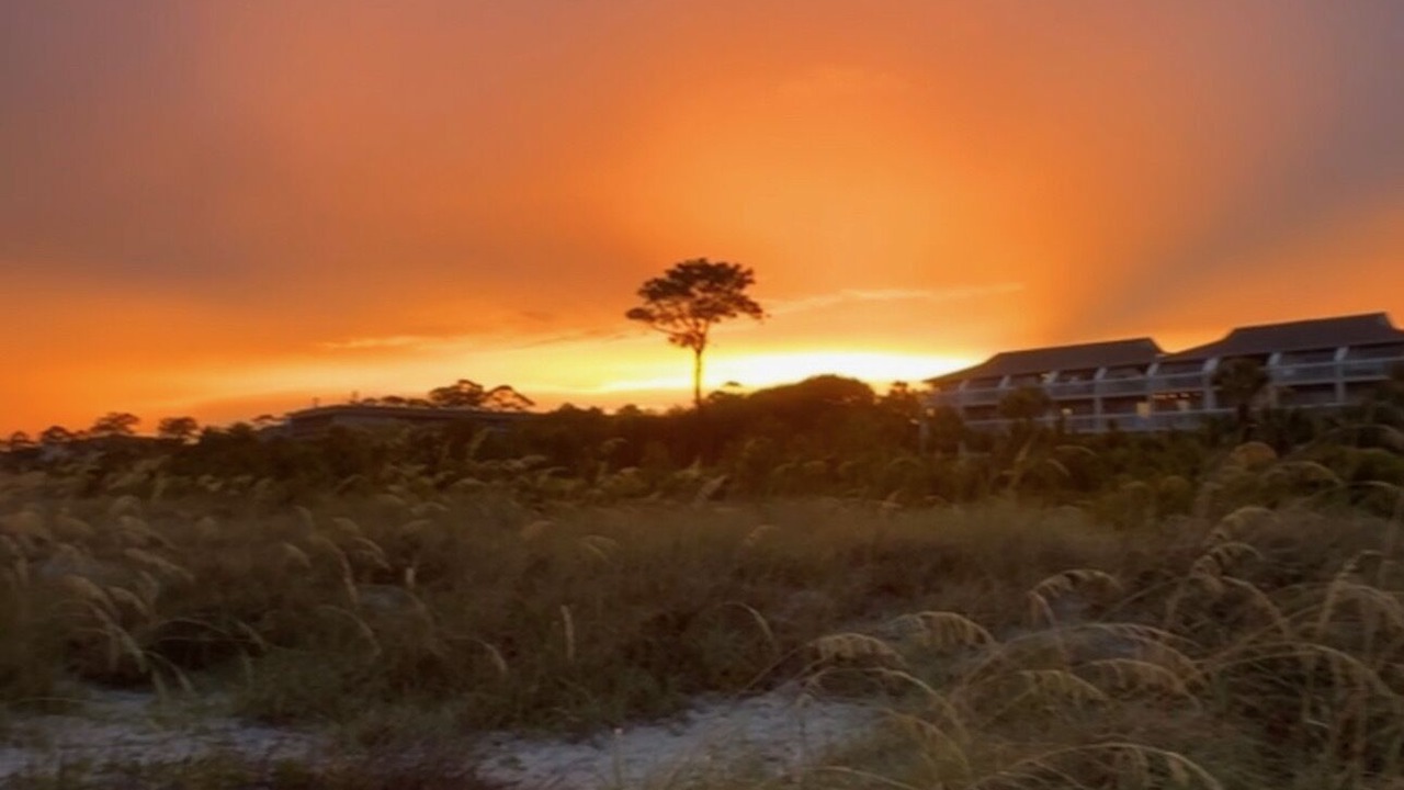 Photo of Others in North Forest Beach