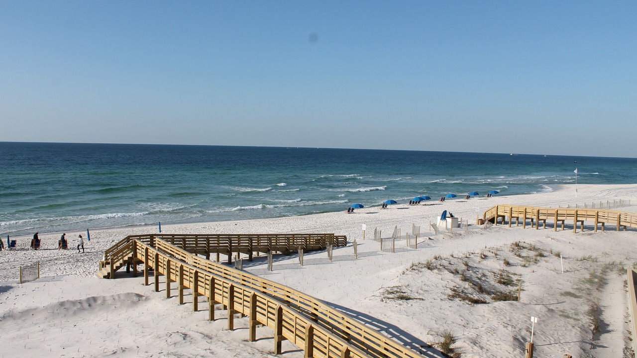 Photo of Others in Orange Beach East
