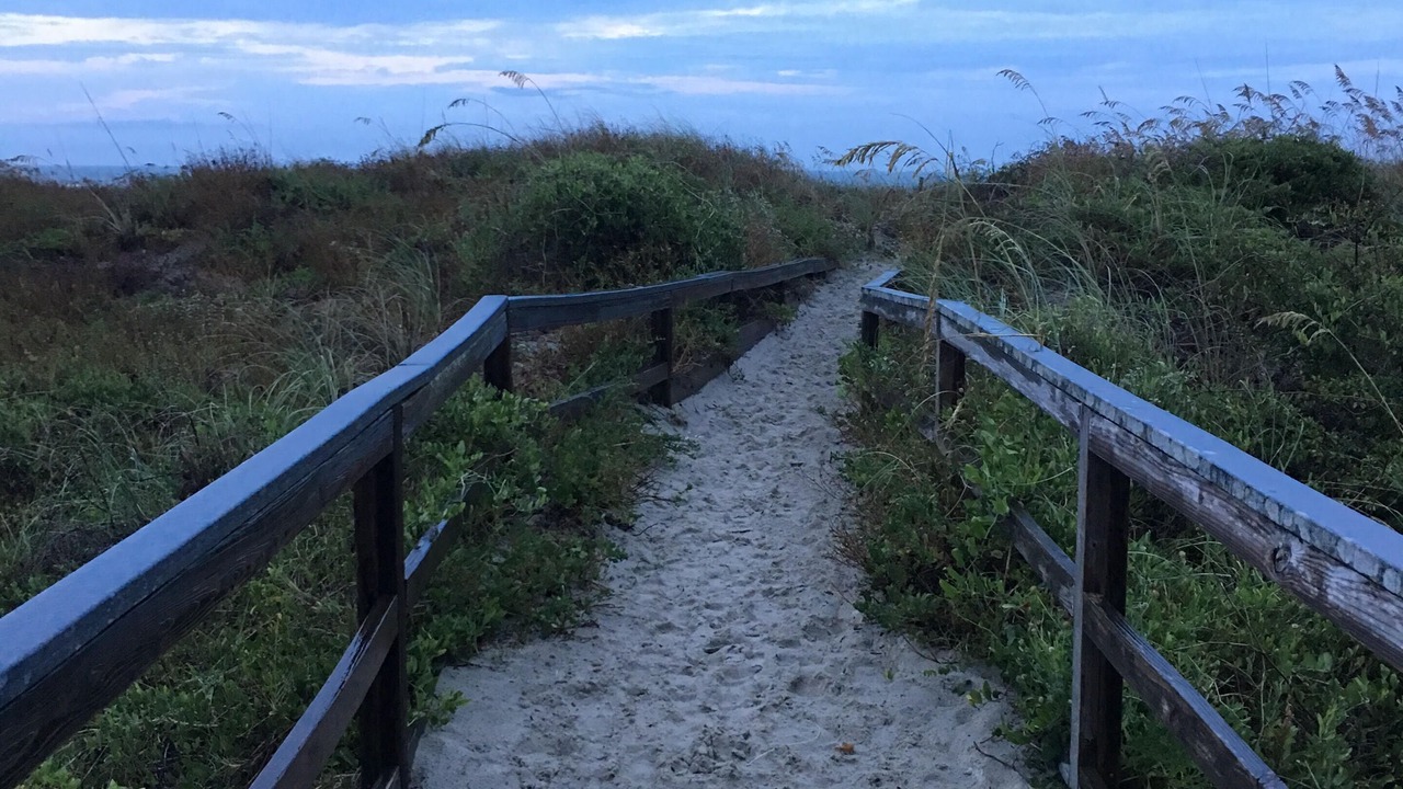 Photo of Others in Butler Beach