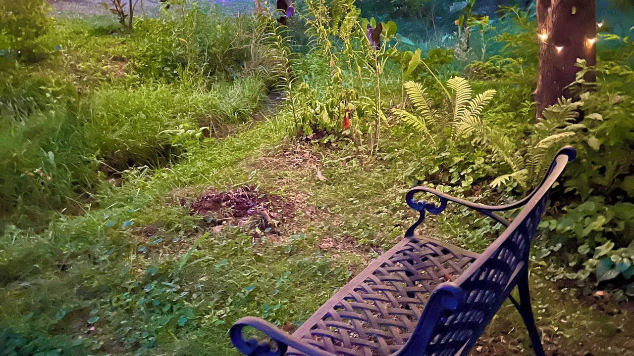 Photo of Outdoor in Knoxville