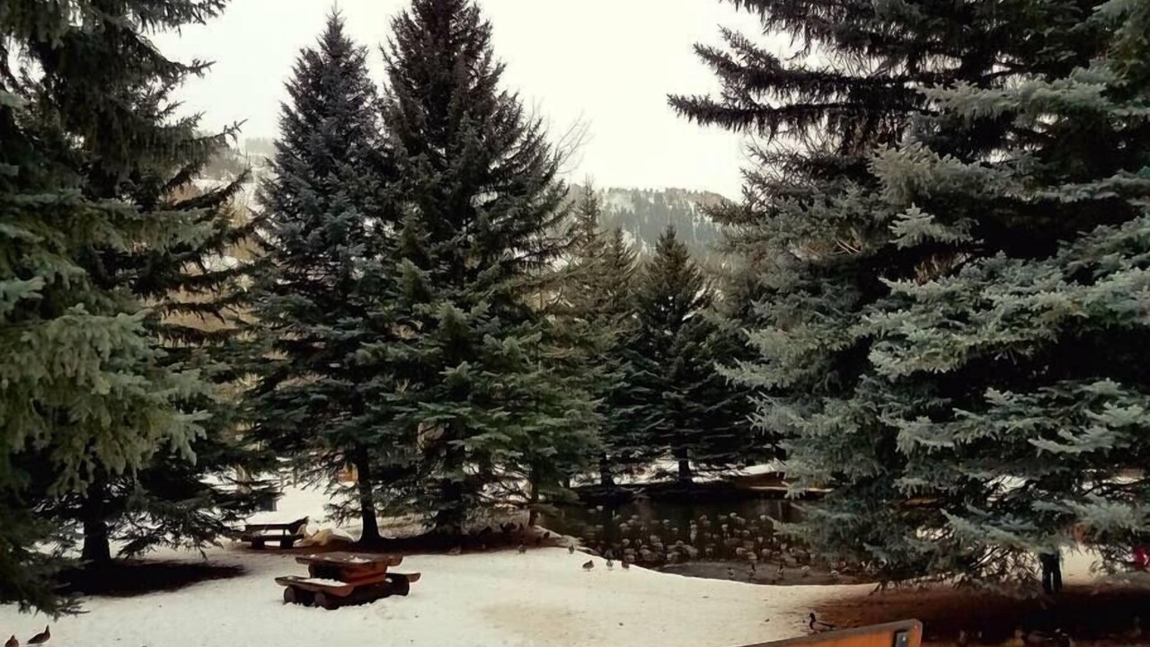 Photo of Others in Aspen