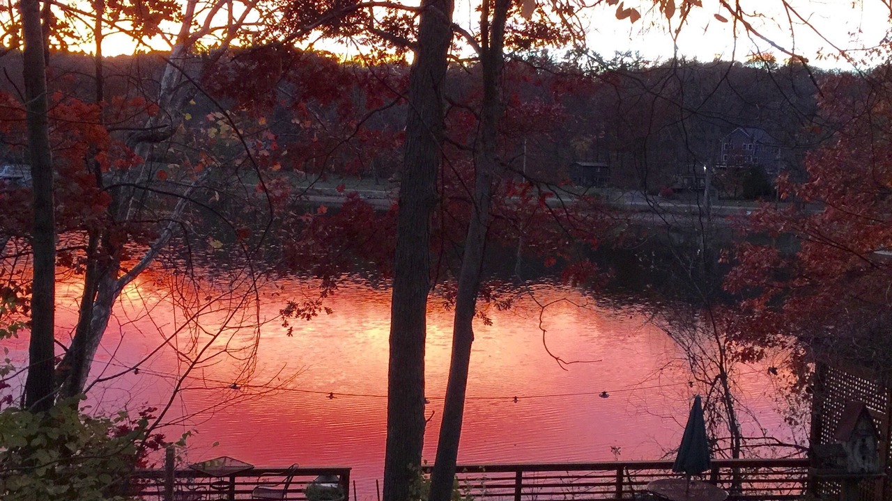 Photo of Others in Red Hook