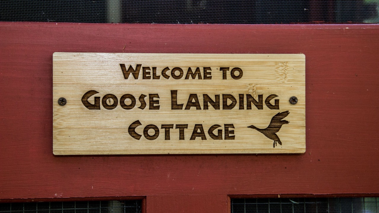 Photo of Outdoor in Red Hook