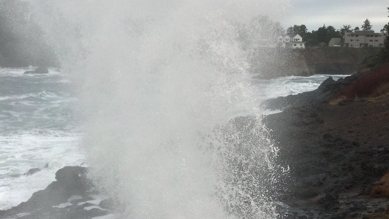 Photo of Others in Lincoln City