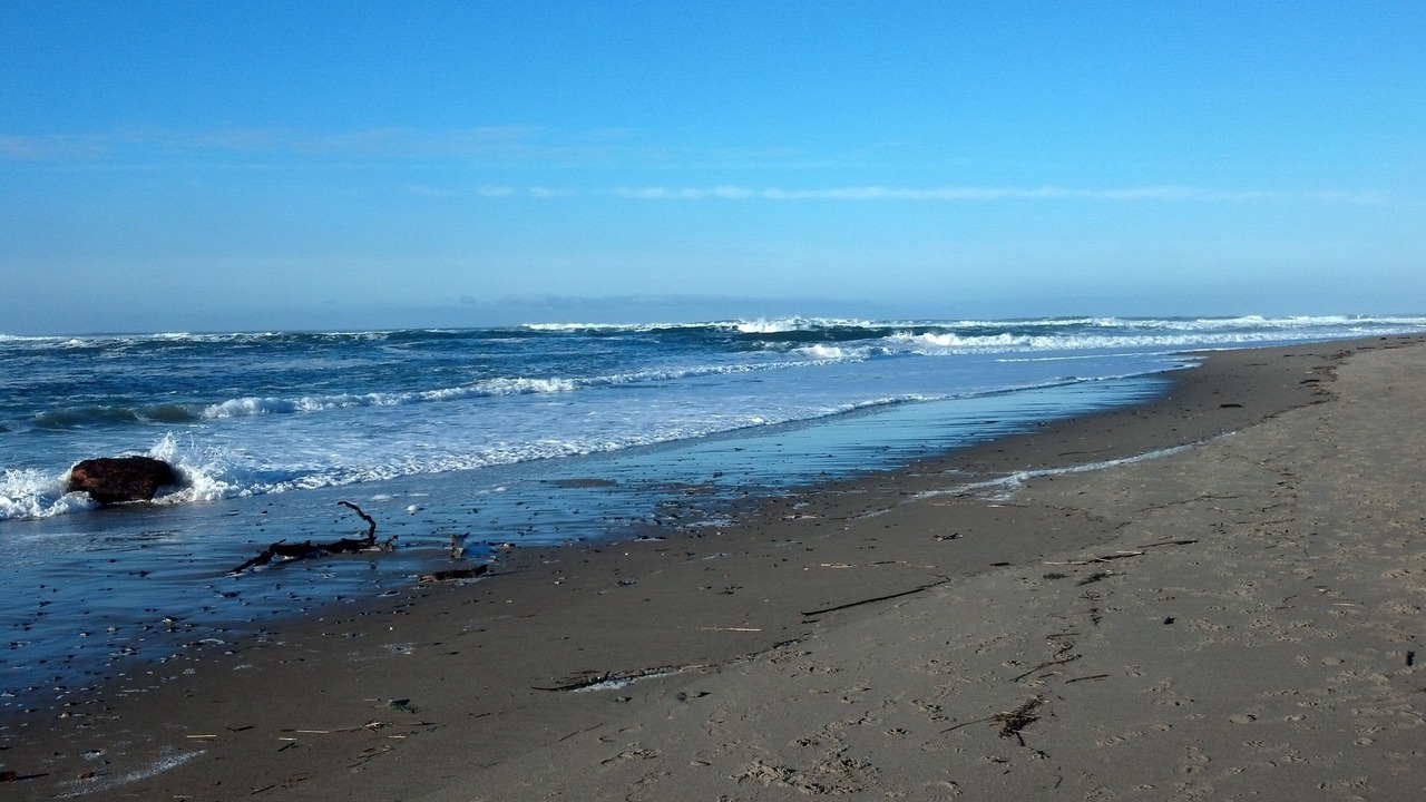 Photo of Others in Lincoln City