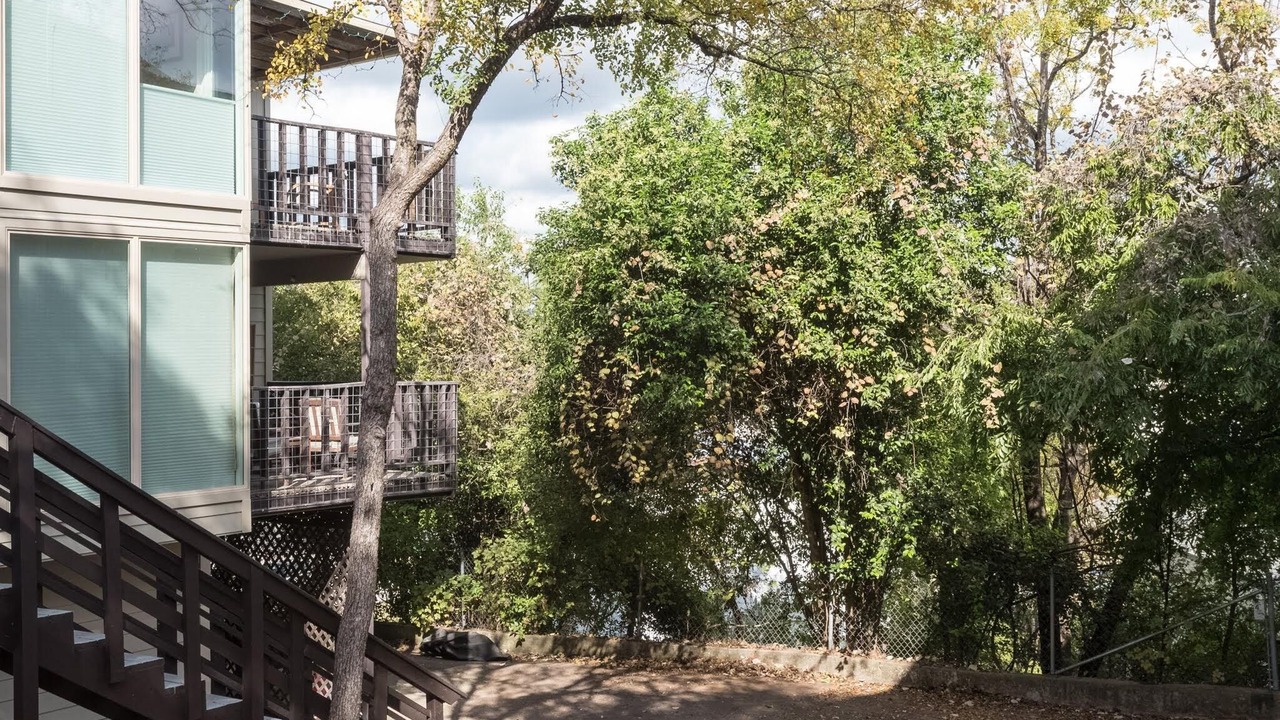 Photo of Outdoor in Barton Hills