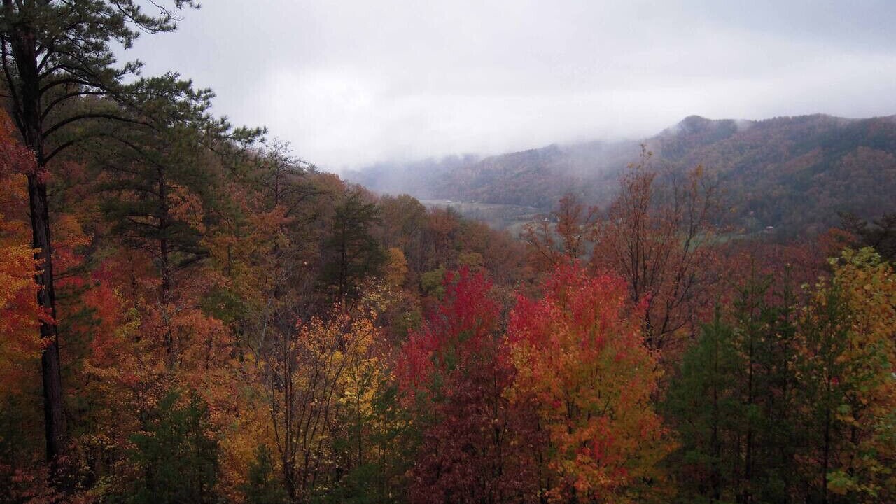 Photo of Others in Gatlinburg - Pigeon Forge