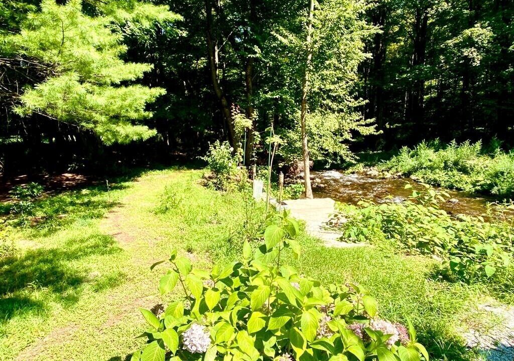 Photo of Outdoor in Swiftwater