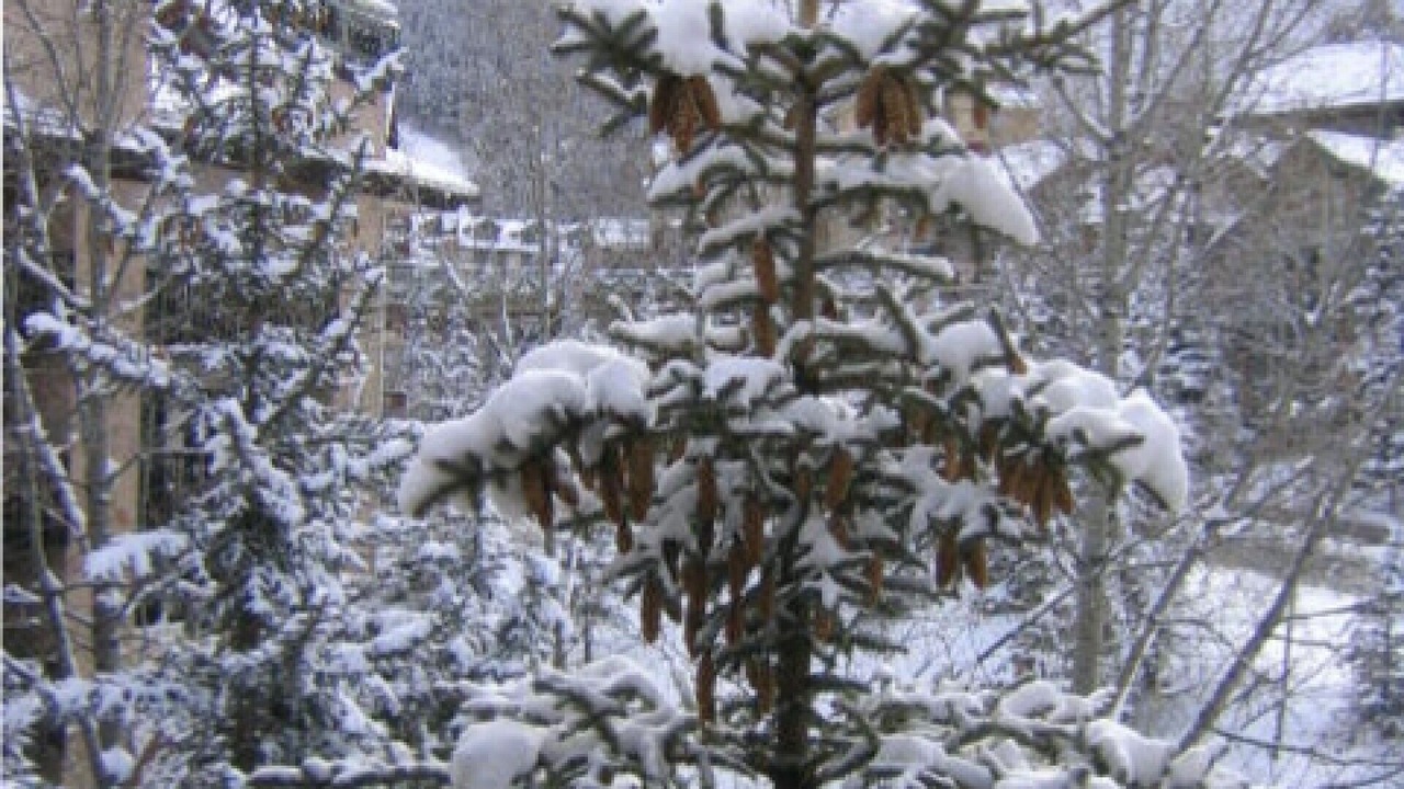 Photo of Patio Balcony in Beaver Creek