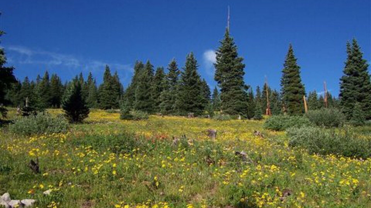 Photo of Others in Beaver Creek