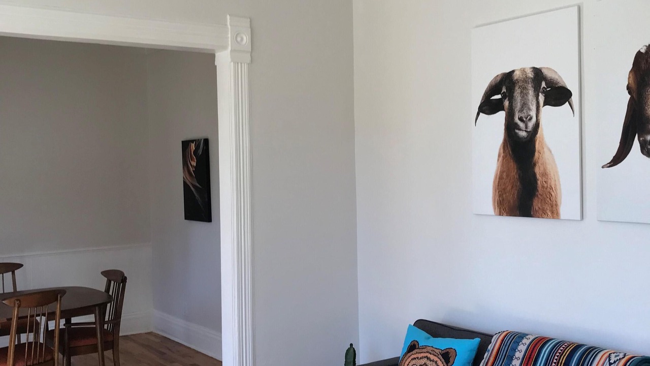 Photo of Livingroom in Salida