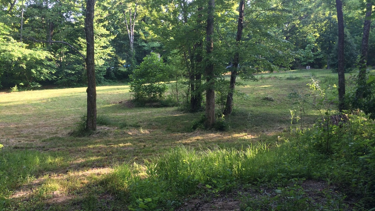 Photo of Others in Lupton City