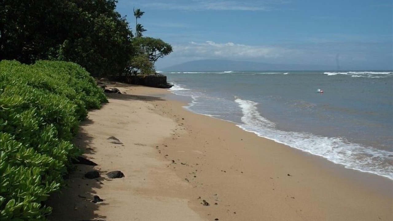 Photo of Others in Kahana