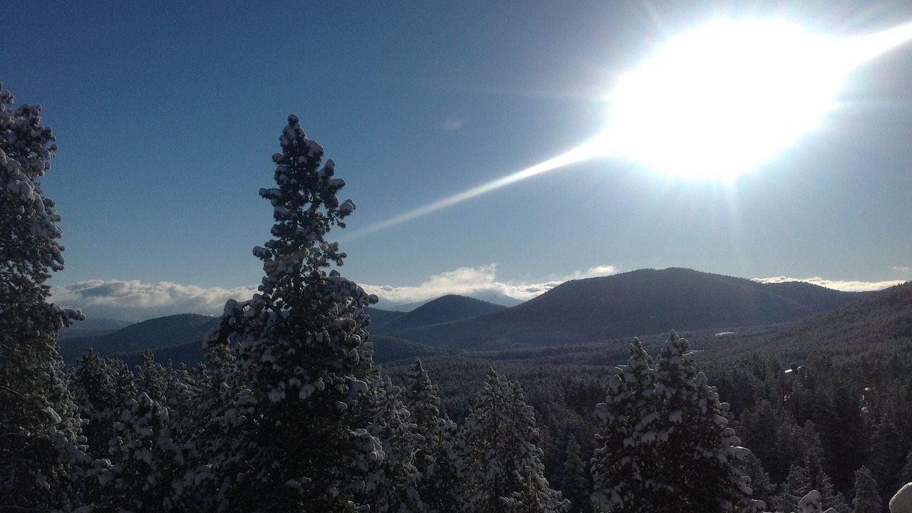 Photo of Others in Evergreen